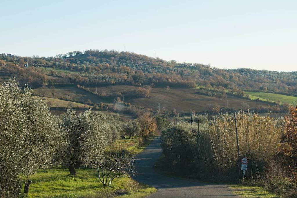 Le Casette Country House 2 Petricci Exterior foto